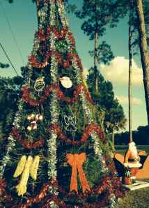 The perpetual peace garden at Christmas, December 2013.